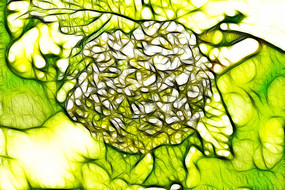 ����װ���޿�