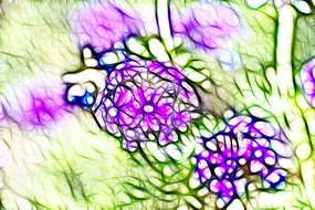 ϸҶ��Ůӣ����������