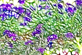 ϸҶ��Ůӣװ�λ�