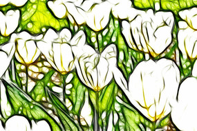 ѩɫ���������