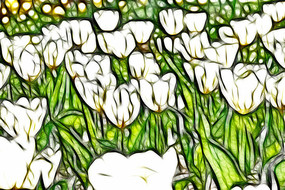 ѩɫ���������������