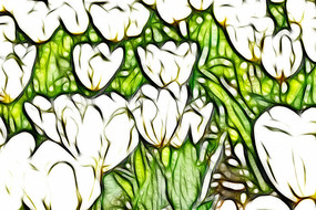 ѩɫ�������޿����������