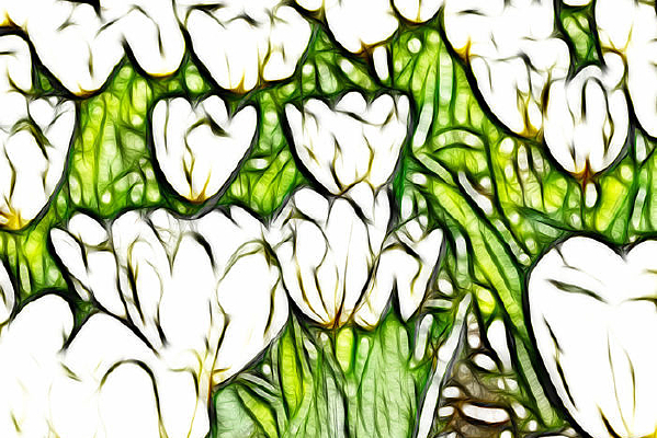 ѩɫ�������޿����������