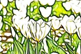 ѩɫ������������