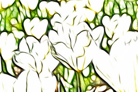 ѩɫ������װ�λ�