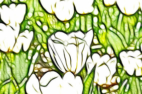 ѩɫ������װ���޿����