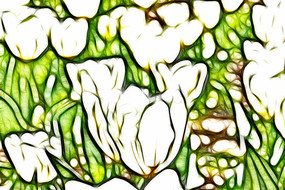 ѩɫ������װ���޿�