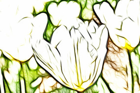 ѩɫ������װ�����������޿�