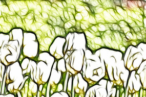 �������������������