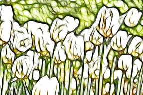 �����������޿����