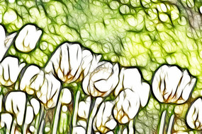 �����������޿����������