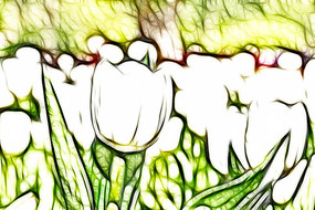 �����������޿�