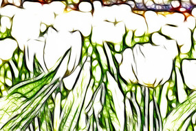 ����������������