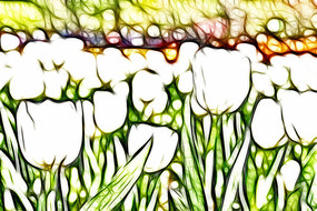 ����������װ�λ�