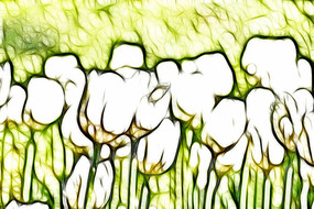 ����������װ���޿����