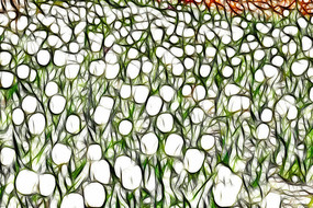 ����������װ���޿�