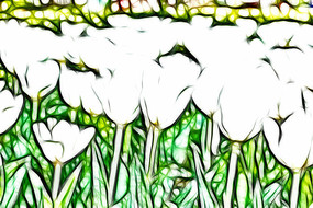 ��ɫ�漣���������