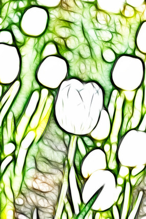 ��ɫ�漣���������������