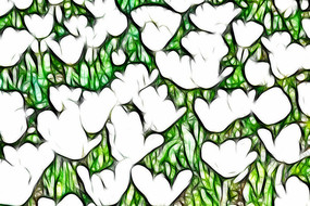 ��ɫ�漣�������޿����