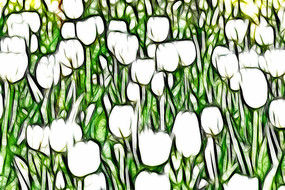 ��ɫ�漣�������޿����������