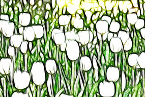 ��ɫ�漣������װ���޿����