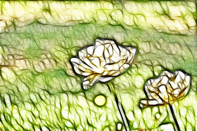 ��ɫ�����˳���