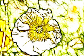 ��ɫ�����˳���������