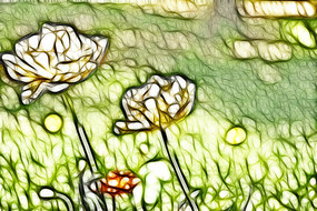 ��ɫ�������޿�