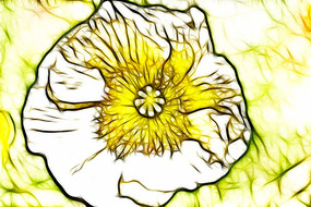 ��ɫ������װ�γ���������