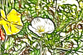 ��ɫ������װ�λ�