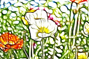 ��ɫ������װ�λ�����������