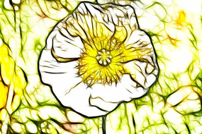 ��ɫ������װ�λ��޿򻭳���������