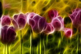 ����������������