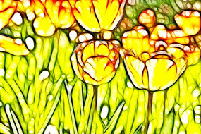 ����ɫ�ߵ����������