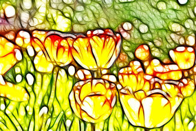 ����ɫ�ߵ��������޿�