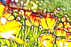 ����ɫ�ߵ�������������