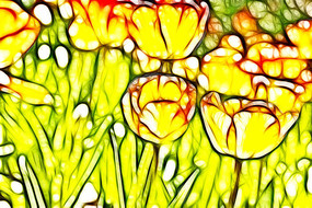 ����ɫ�ߵ�������װ���޿�