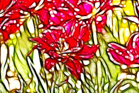 ���������������