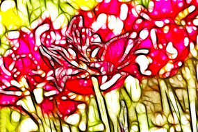 ���������������������