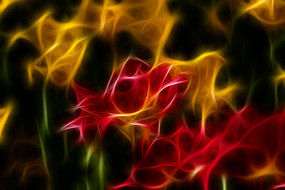 ���������������������