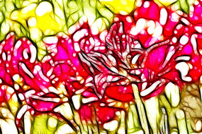 �������������޿����