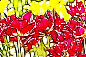 �������������޿�