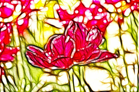 ������������������