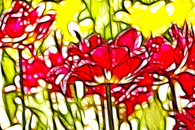 ������������װ�λ�