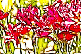 ������������װ���޿�