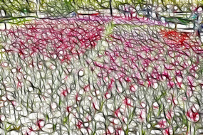 �ۺ�ɫ����װ�λ�����������