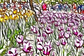 �ۺ����������