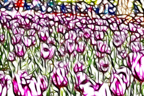 �ۺ�������������