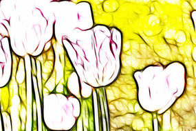 ��ɫ���������������