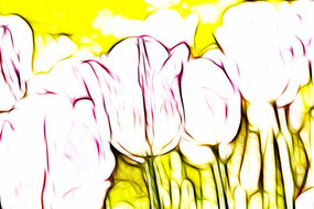 ��ɫ�������޿�